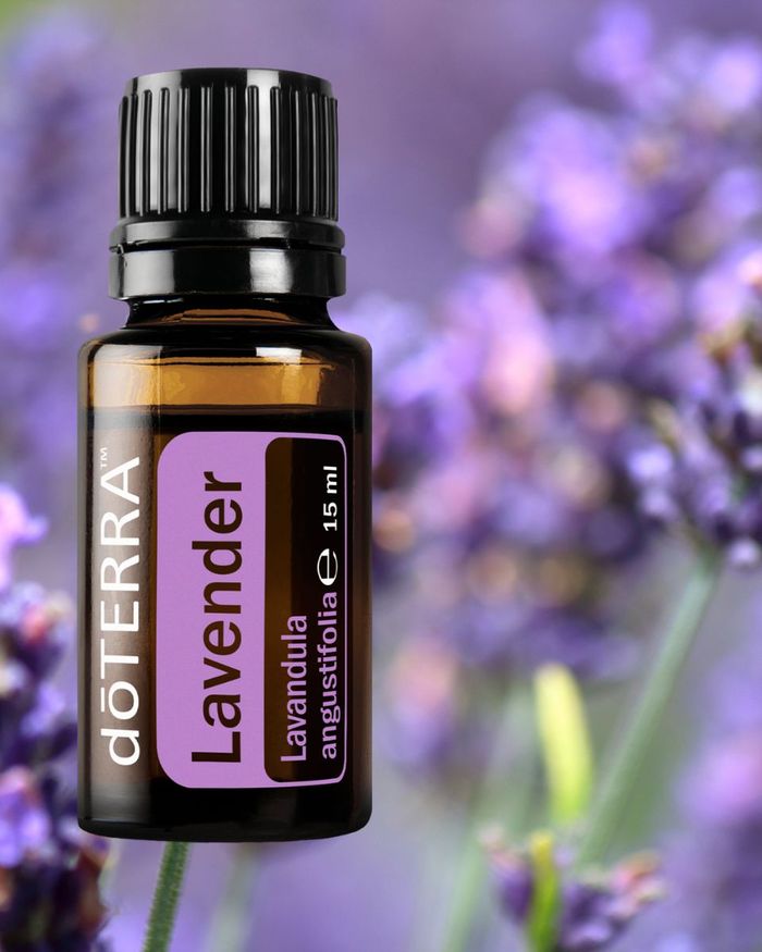 doTERRA Lavender essential oil — Lavandula angustifolia — used in aromatherapy massage at Magic Hands, East Yorkshire