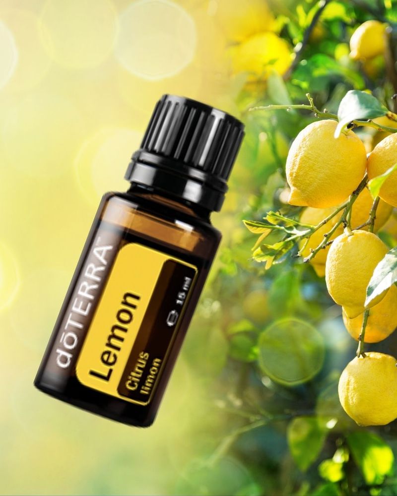 doTerra top quality lemon massage oil